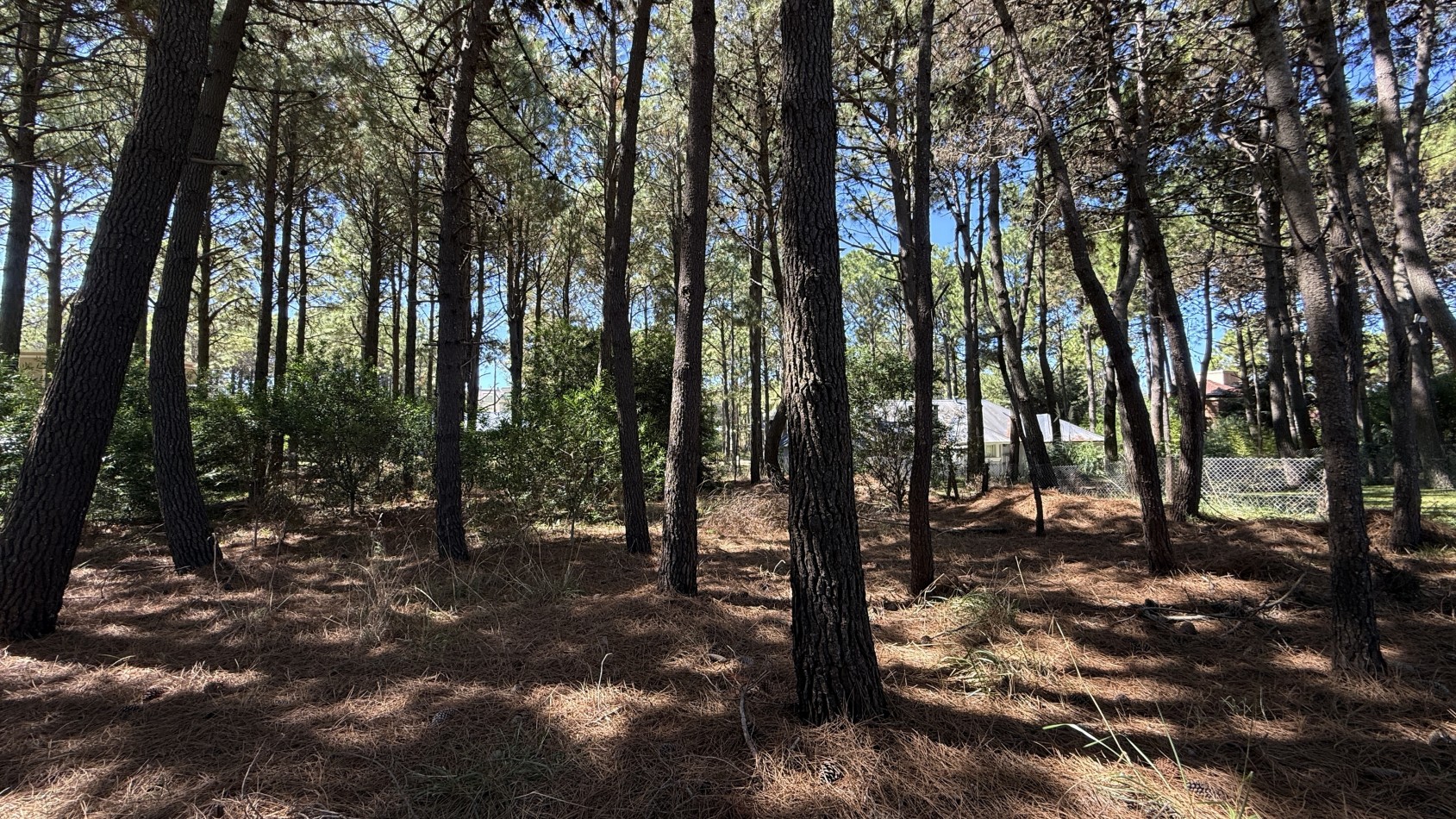 Lote en venta en Pinamar Norte