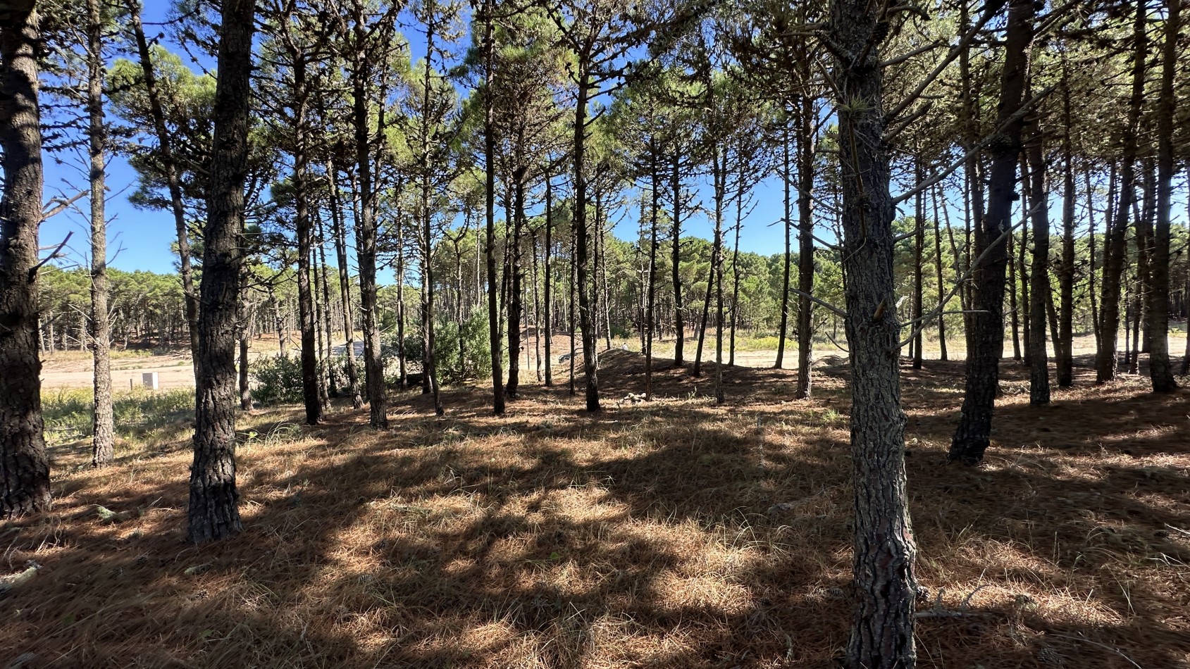 Lote en venta en Pinamar BOSQUES