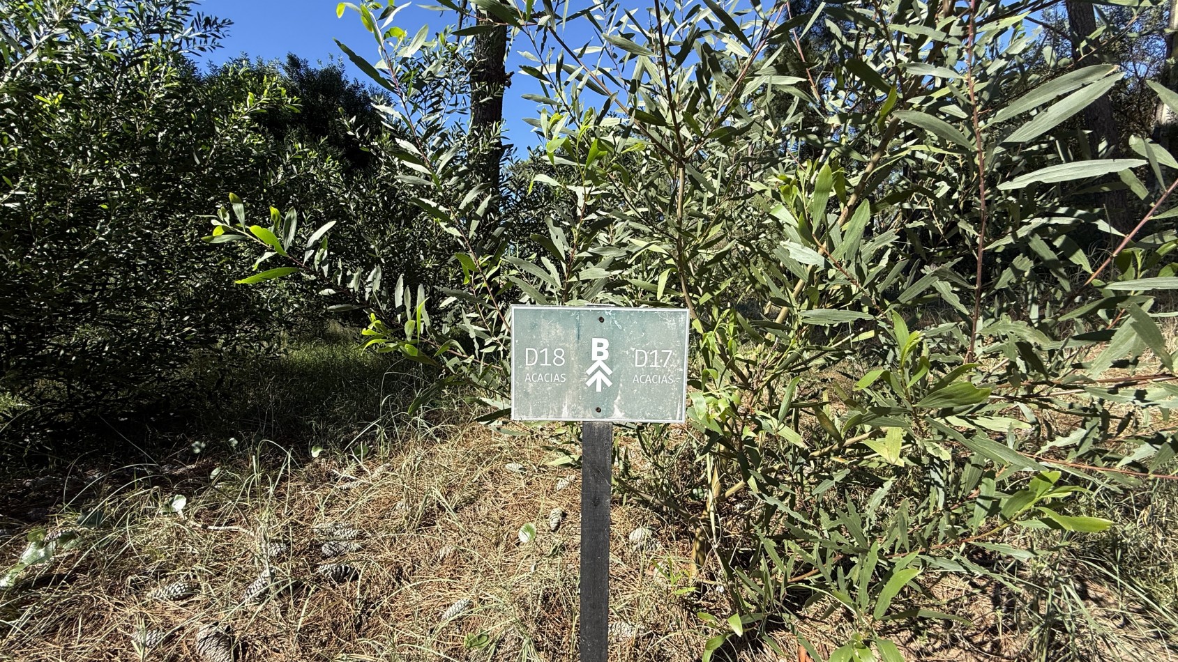 Lote en venta en Pinamar BOSQUES