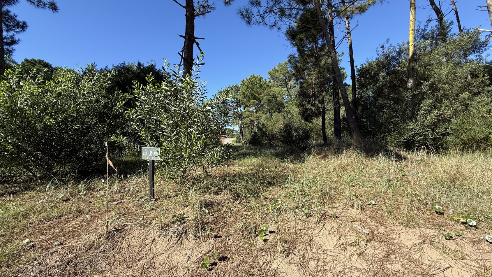 Lote en venta en Pinamar BOSQUES