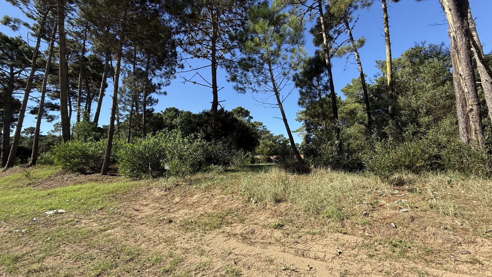 Lote en venta en Pinamar BOSQUES