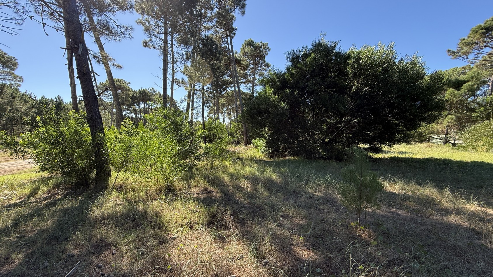 Lote en venta en Pinamar BOSQUES