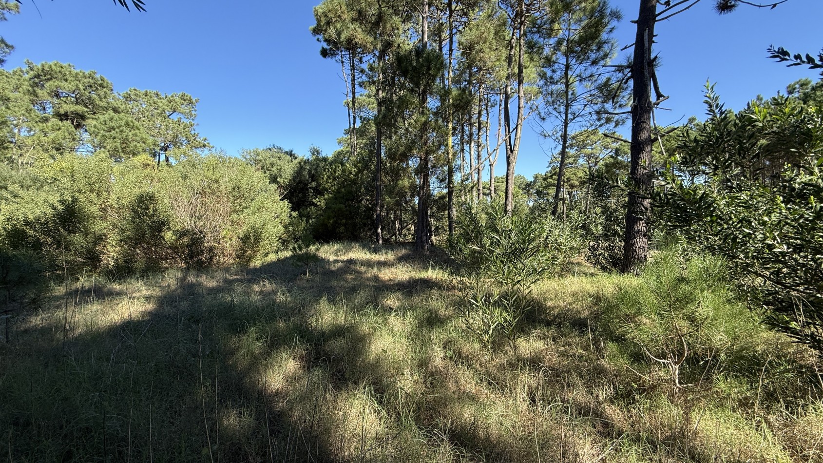 Lote en venta en Pinamar BOSQUES