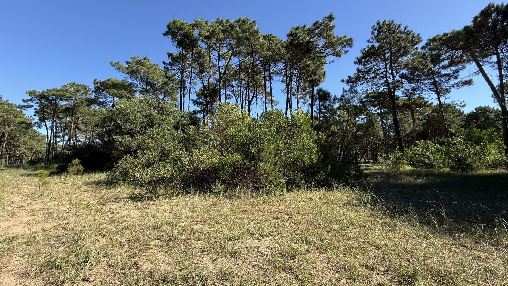 Lote en venta en Pinamar BOSQUES