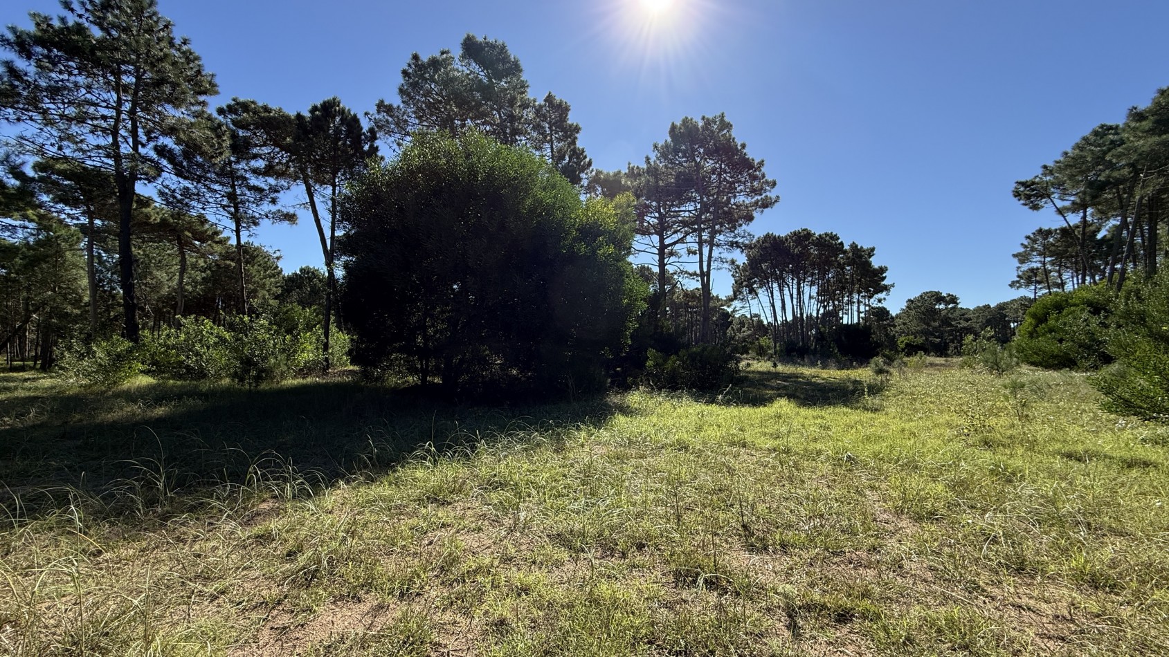 Lote en venta en Pinamar BOSQUES