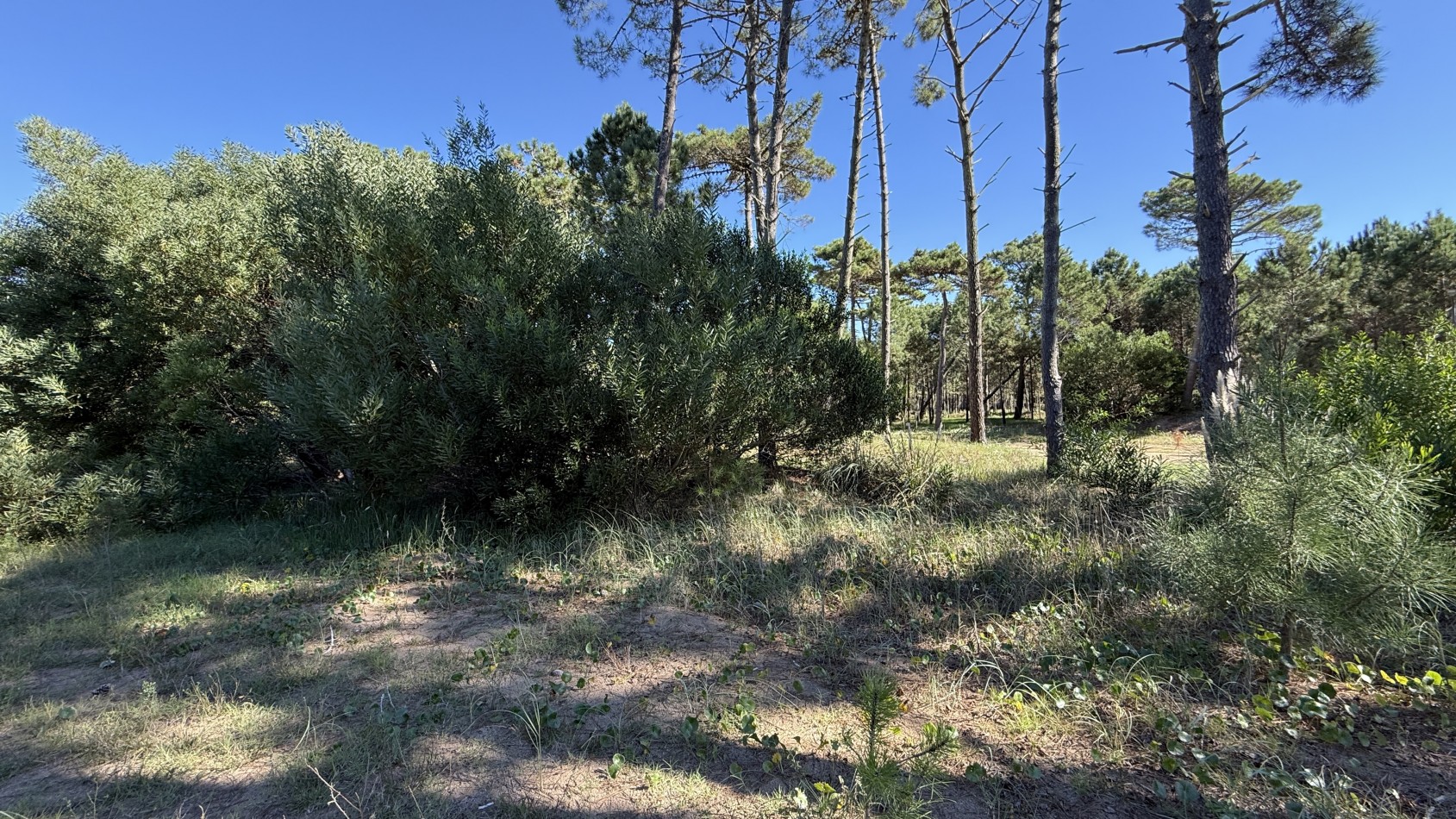 Lote en venta en Pinamar BOSQUES