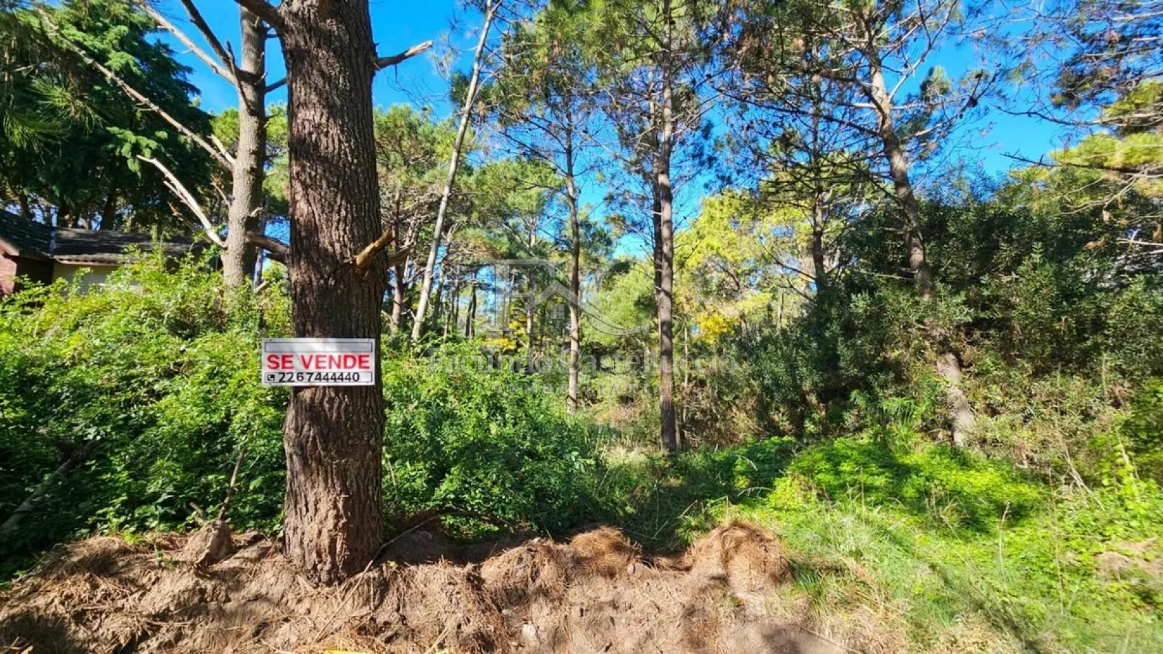 Venta de Lote en Carilo