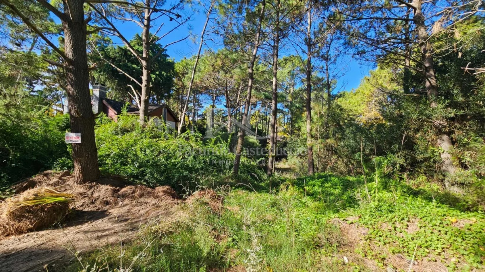 Venta de Lote en Carilo