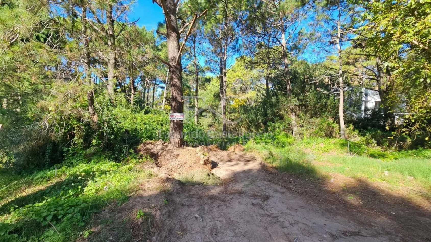 Venta de Lote en Carilo