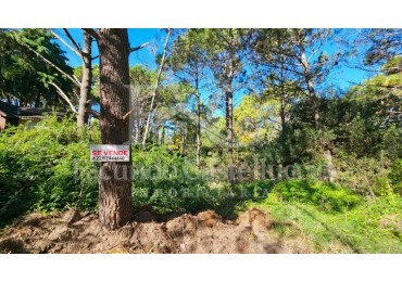 Venta de Lote en Carilo